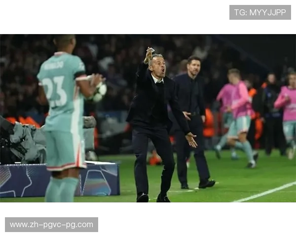 法甲历年参加欧冠球队及其表现