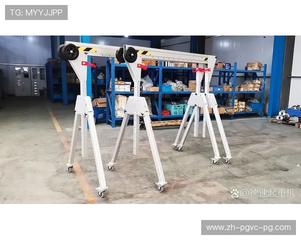 龙门架选购指南从材质到功能的全面考量