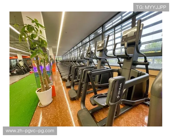 西昌舒华健身器材门店位置与产品介绍 西昌舒华健身器材门店位置与产品介绍